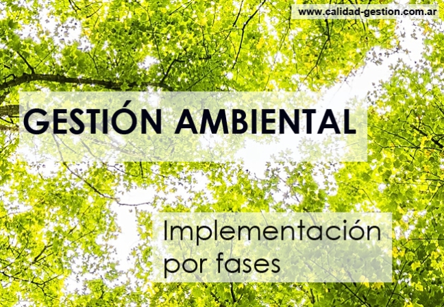 Gestión Ambiental - Enfoque flexible de Implementación por fases - Norma ISO 14005:2019